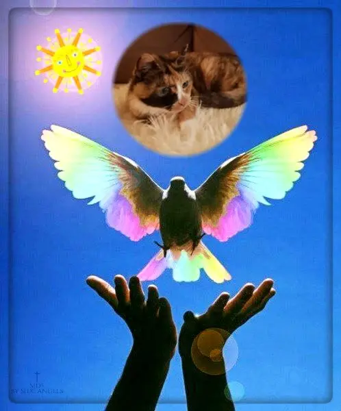 Condolence image of ❤️❤️❤️❤️❤️❤️❤️❤️❤️❤️❤️❤️