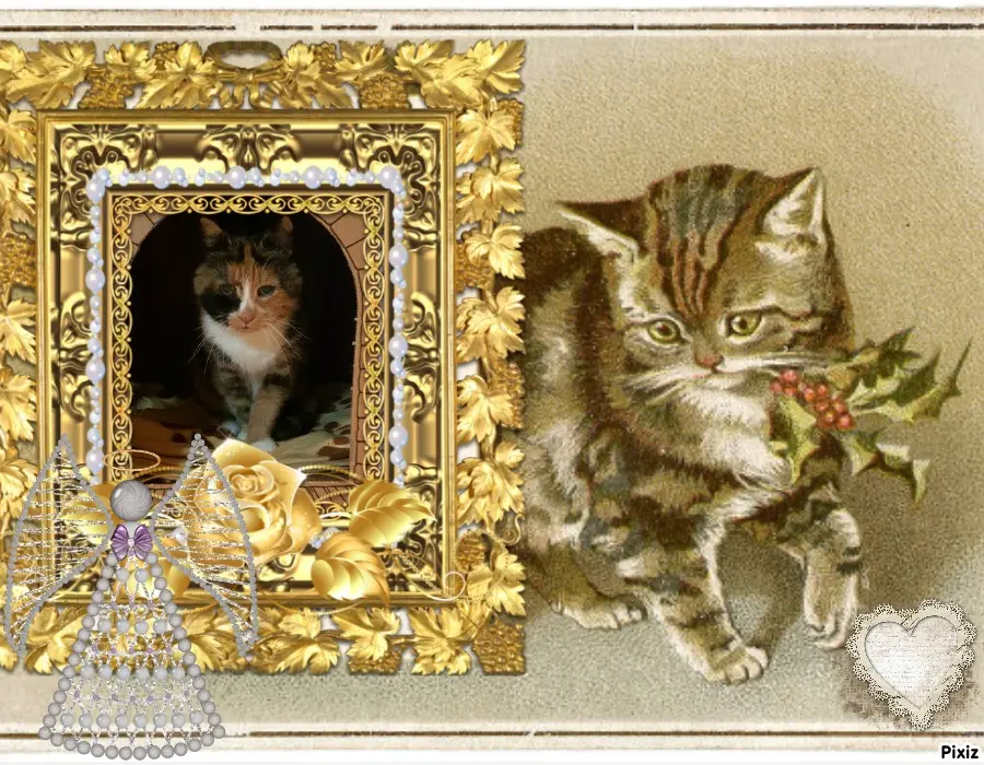 Condolence image of Tanja mit Timmy im Herzen 