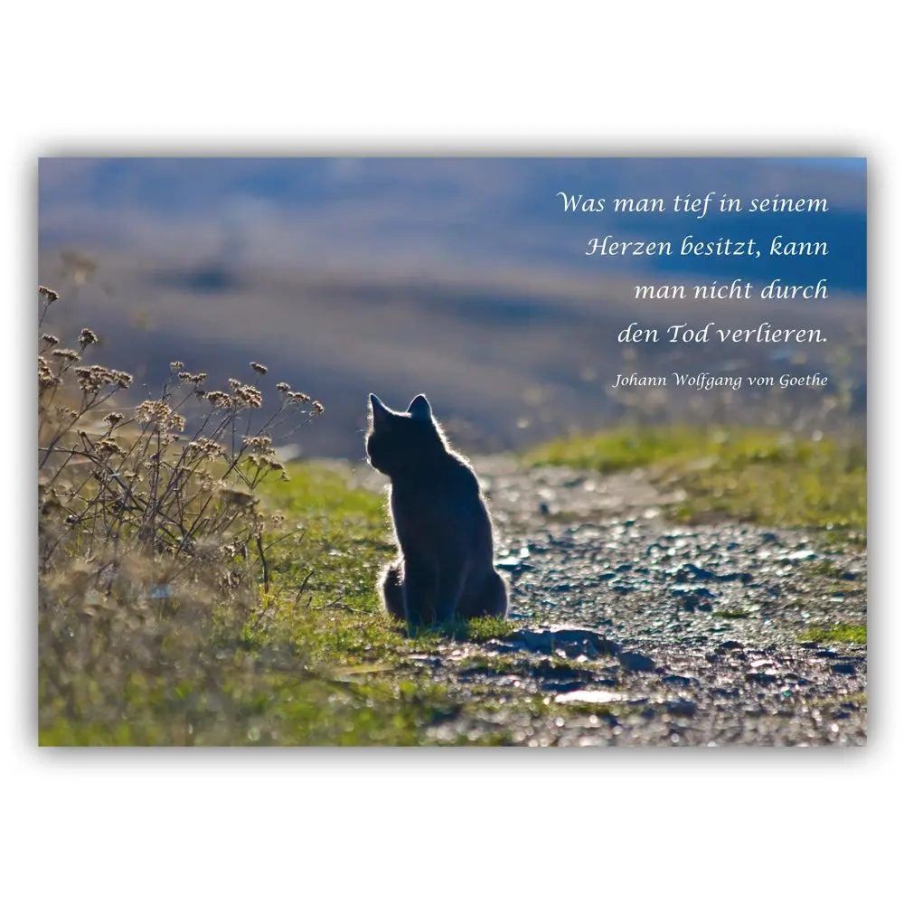 Condolence image of Brigitte mit Nelly, Benny und Axel im Herzen