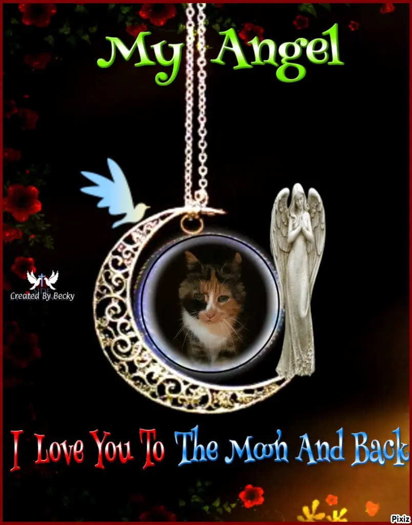 Condolence image of Tanja mit Timmy im Herzen 