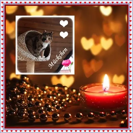 Condolence image of deiner Ilse in Liebe zum 2. Monatsgedenken