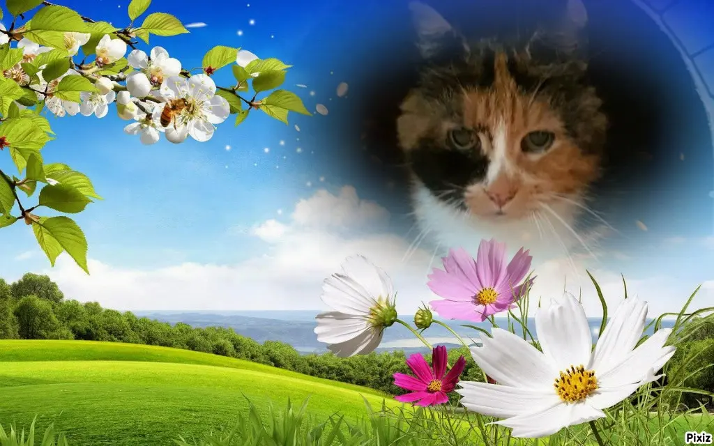 Andachtsbild von Tanja mit Timmy im Herzen 