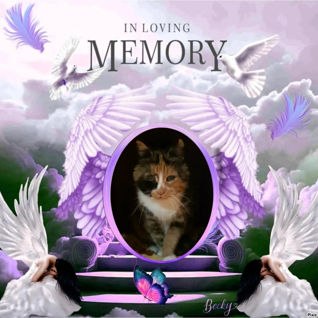 Andachtsbild von Tanja mit Timmy im Herzen 