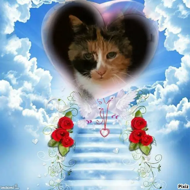 Andachtsbild von Tanja mit Timmy im Herzen 