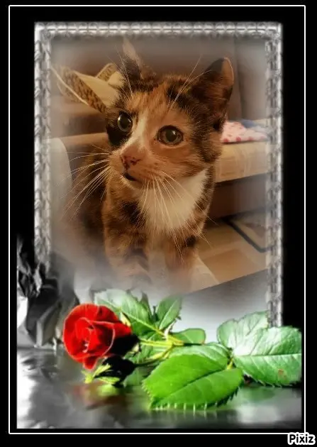 Andachtsbild von Tanja mit Timmy im Herzen