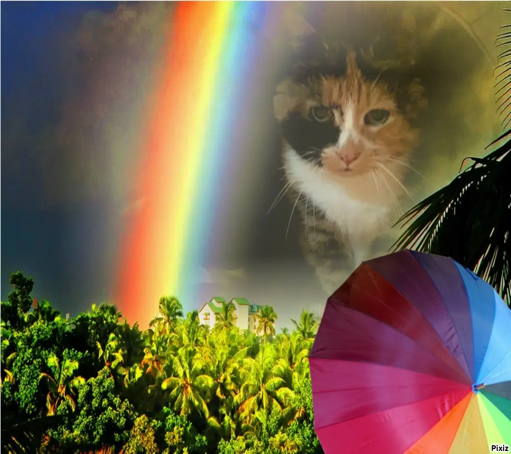 Andachtsbild von Tanja mit Timmy im Herzen