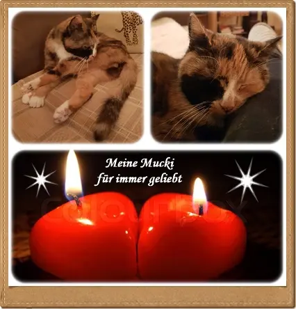 Andachtsbild von deiner Ilse in Liebe zum 7. Monatsgedenken