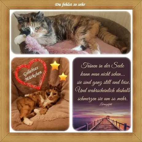 Andachtsbild von deiner Ilse in Liebe zum 8. Monatsgedenken