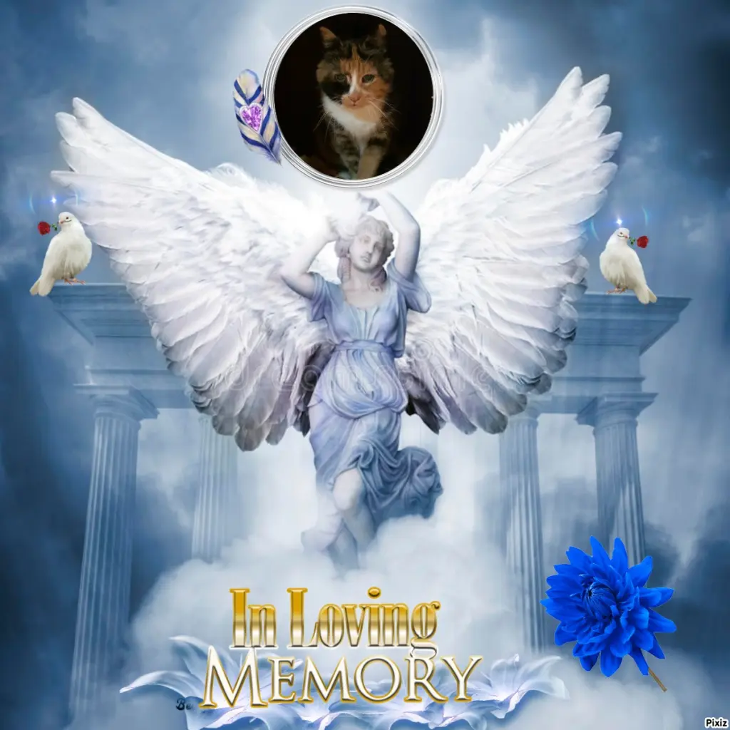 Andachtsbild von Tanja mit Timmy im Herzen