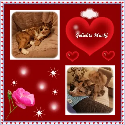 Andachtsbild von deiner Ilse in Liebe zum 10. Monatsgedenken