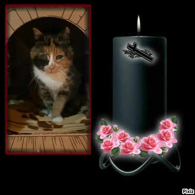 Andachtsbild von Tanja mit Timmy im Herzen