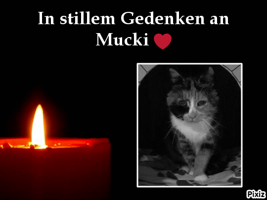 Andachtsbild von Tanja mit Timmy im Herzen