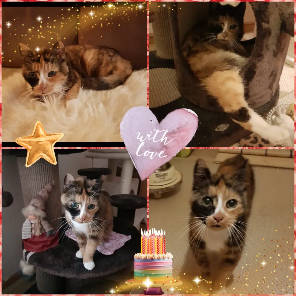 Andachtsbild von ❤️Eike und Edeltraud ❤️