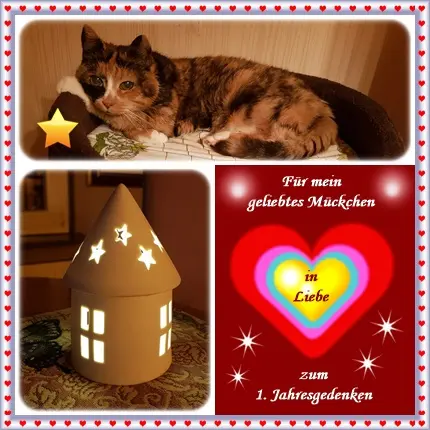 Condolence image of deiner Ilse in Liebe zum 1. Jahresgedenken