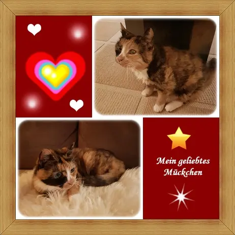 Condolence image of deiner Ilse in Liebe zum 13. Monatsgedenken