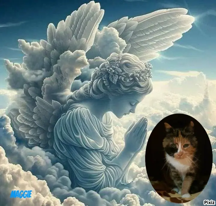 Condolence image of Tanja mit Timmy im Herzen