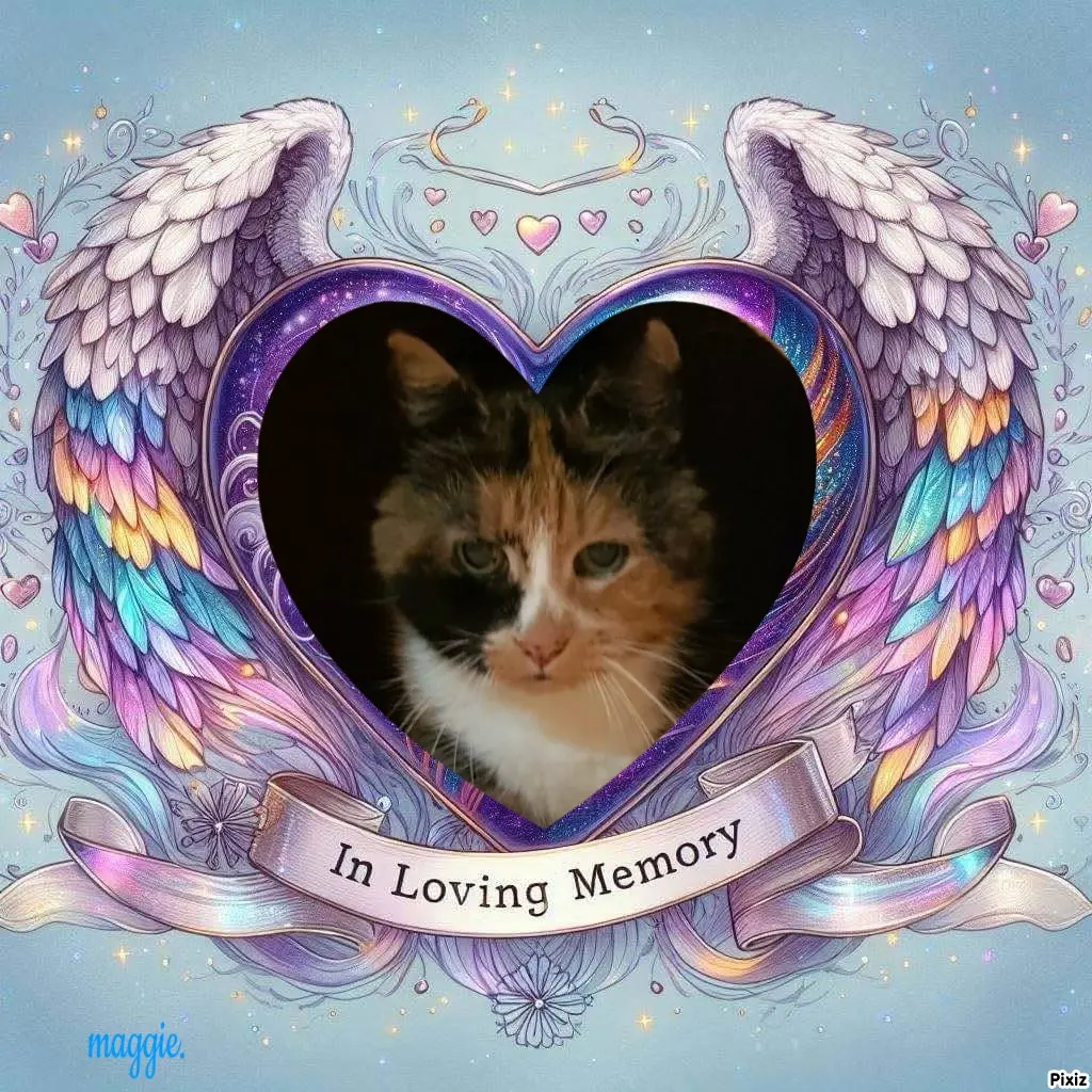 Andachtsbild von Tanja mit Timmy im Herzen