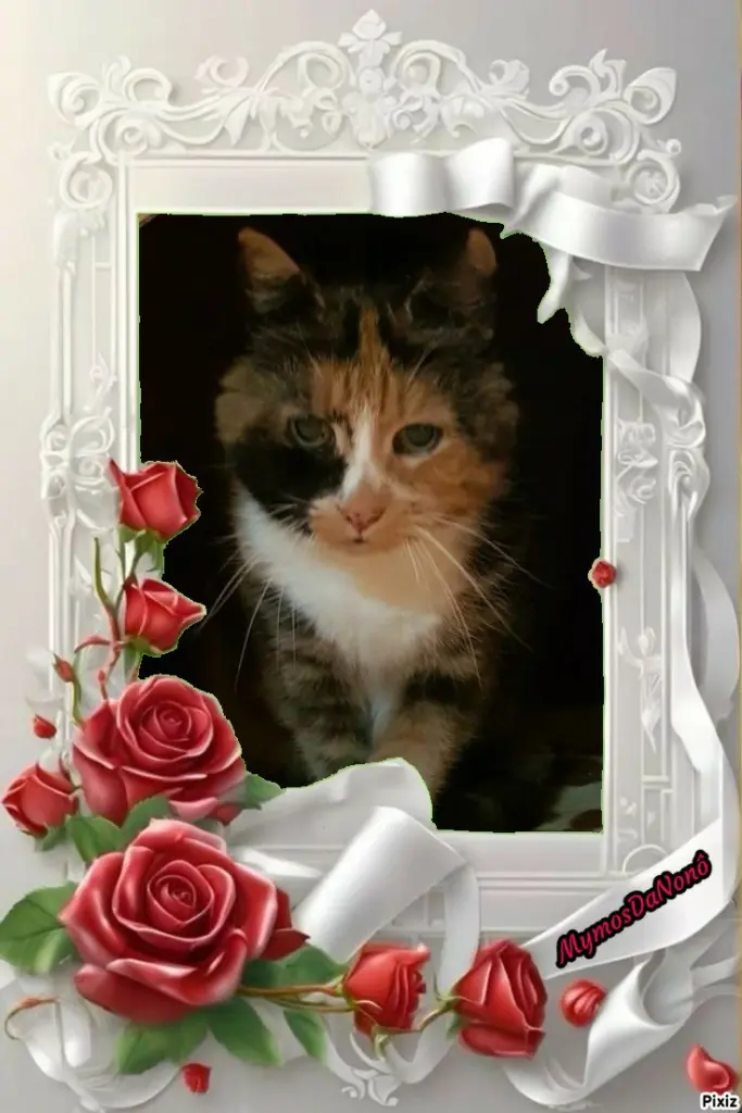 Andachtsbild von Tanja mit Timmy im Herzen