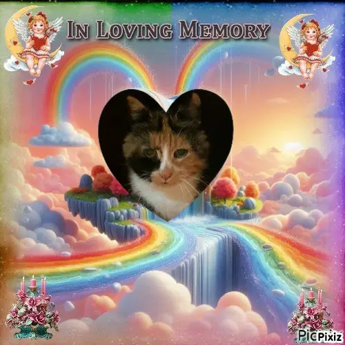 Andachtsbild von Tanja mit Timmy im Herzen