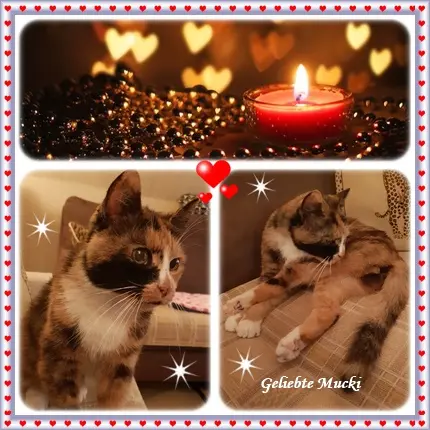 Andachtsbild von deiner Ilse in Liebe zum 20. Monatsgedenken