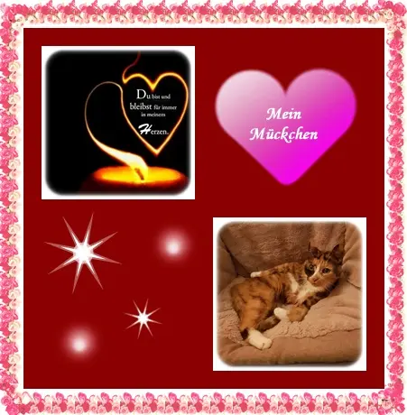 Andachtsbild von deine Ilse in Liebe zum 22. Monatsgedenken