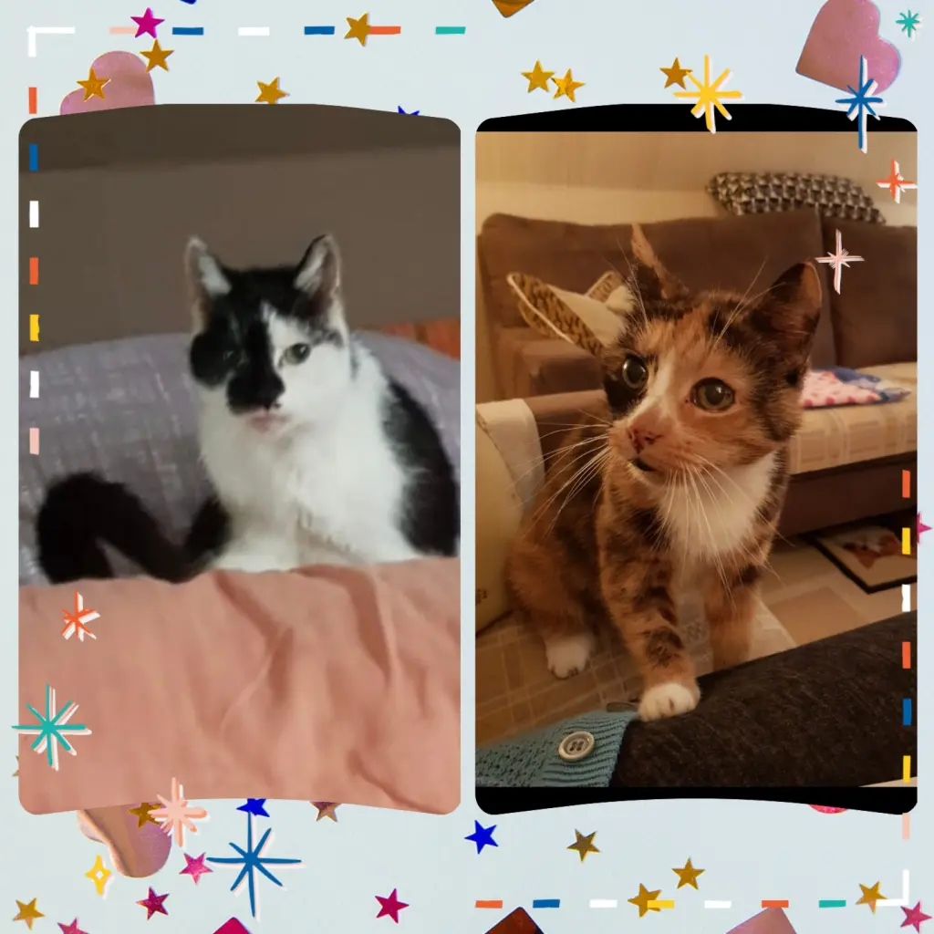 Andachtsbild von ❤️Für Mucki und Antonia ❤️