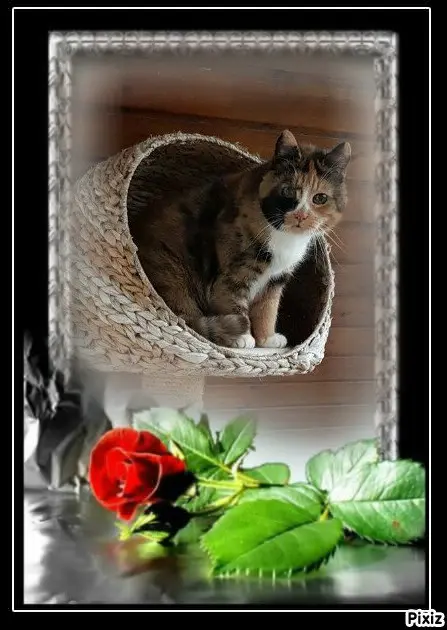 Andachtsbild von Tanja mit Timmy im 💘