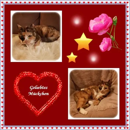 Andachtsbild von deine Ilse in Liebe zum 2. Jahresgedenken