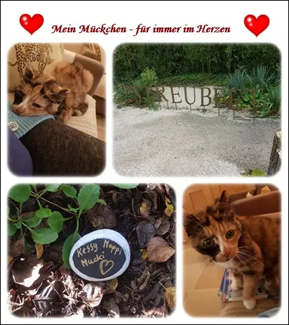 Andachtsbild von Deine Ilse in Liebe zum 25. Monatsgedenken