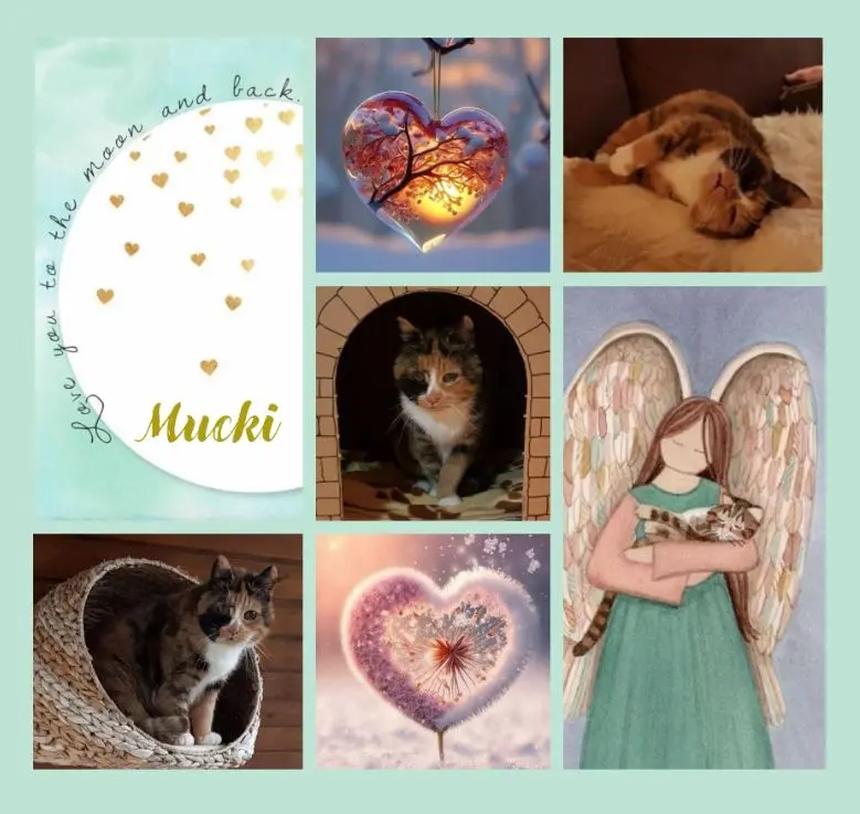 Andachtsbild von Eine Rose für Mucki