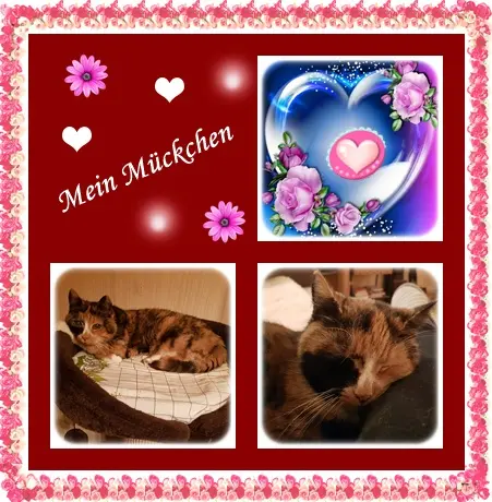 Andachtsbild von Deine Ilse in Liebe zum 26. Monatsgedenken