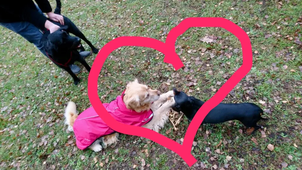 Condolence image of Jaqueline und Nino