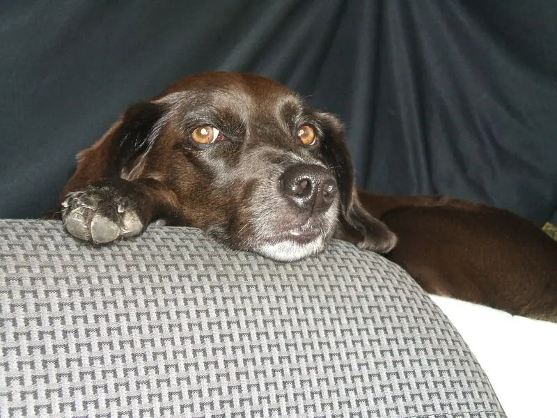 Condolence image of Erika