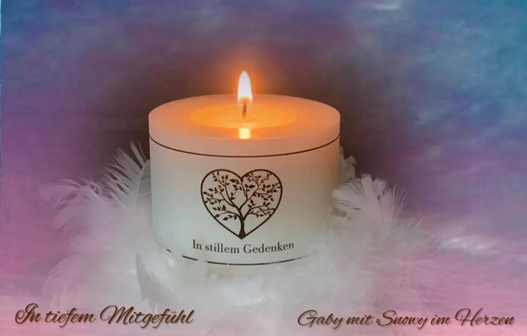 Condolence image of Gaby mit Snowy ❤️