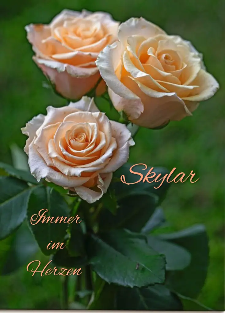 Condolence image of Immer im Herzen ❤️