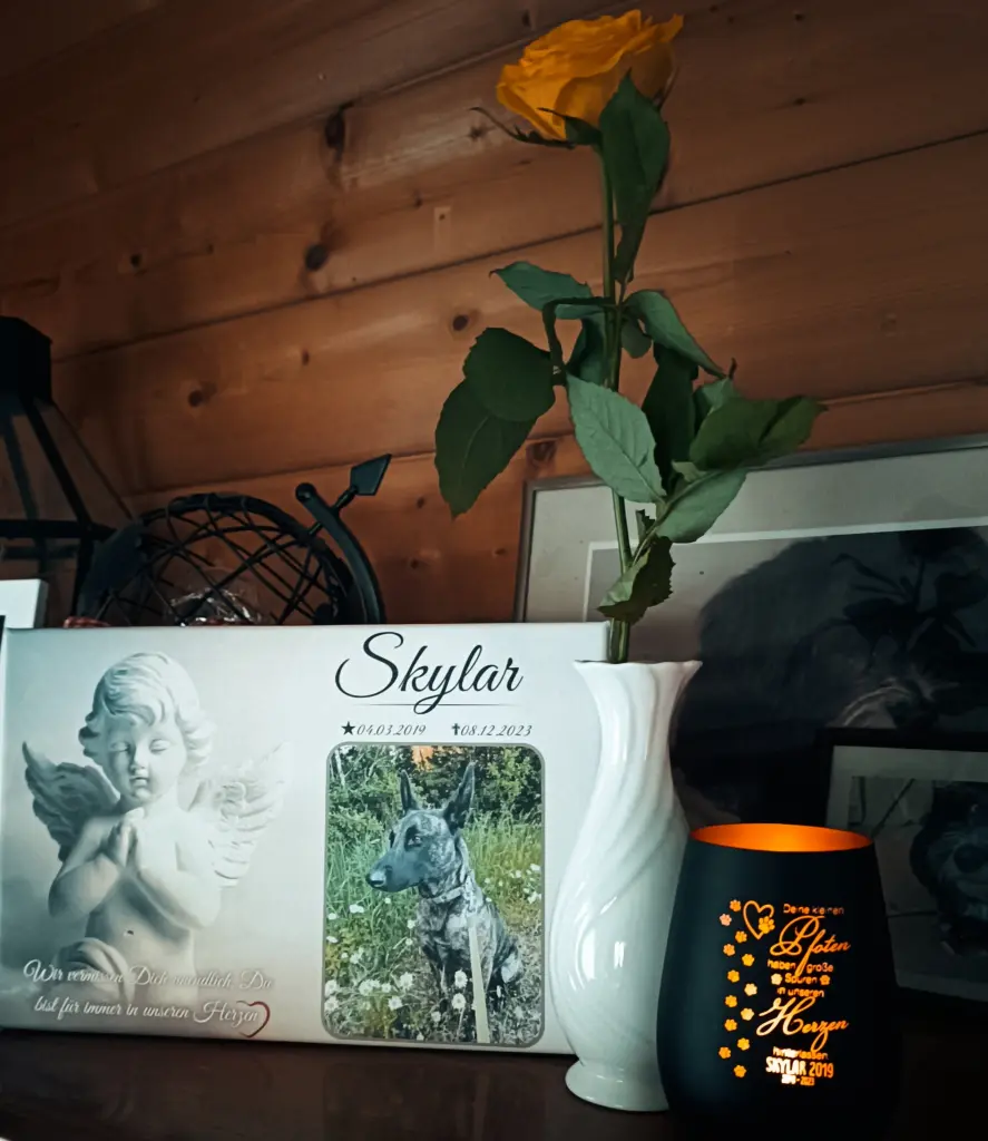 Condolence image of Claudia mit Skylar ganz tief im Herzen ❤️