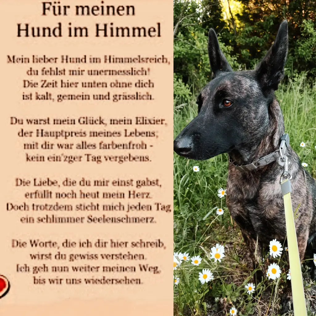 Condolence image of ❤️