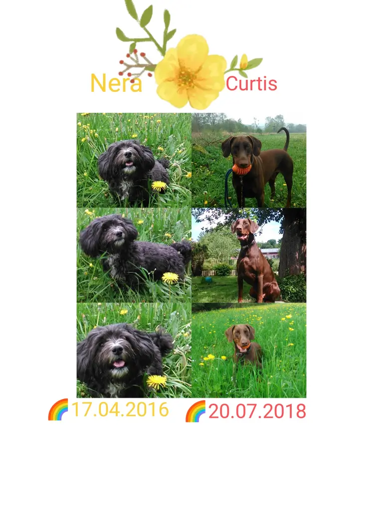 Condolence image of Claudia 