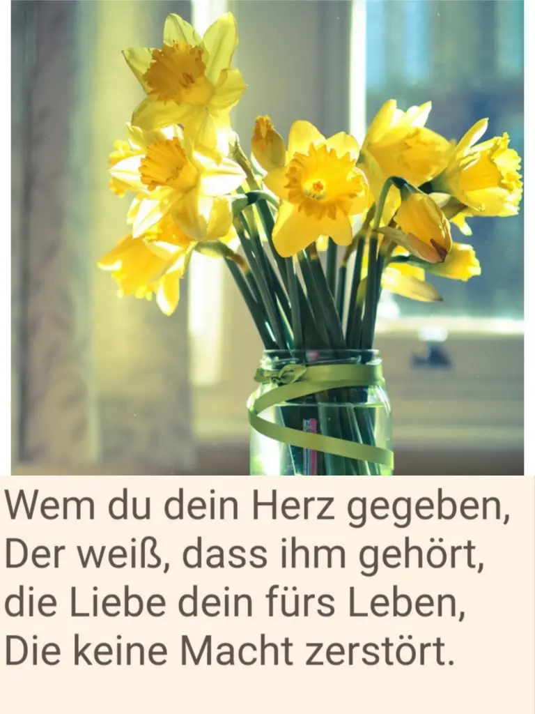 Condolence image of Claudia 