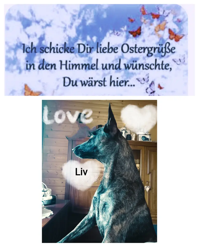 Condolence image of Liv und Claudia ❤️❤️