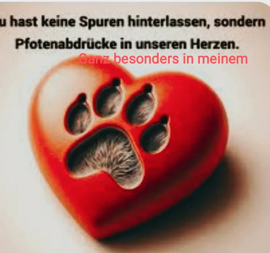 Condolence image of Claudia 