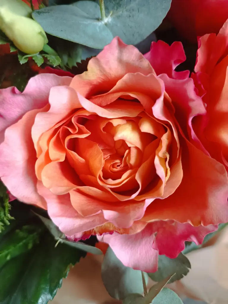 Condolence image of Claudia mit Skylar ganz tief im Herzen ❤️