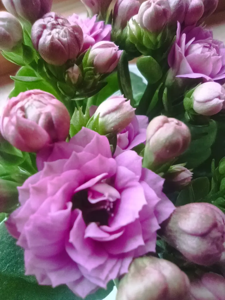 Condolence image of ❤️