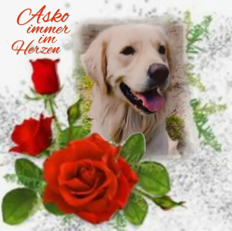 Condolence image of Claudia mit ASKO❤️ 