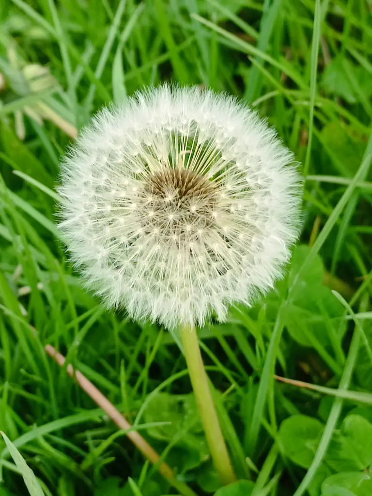 Condolence image of ❤️