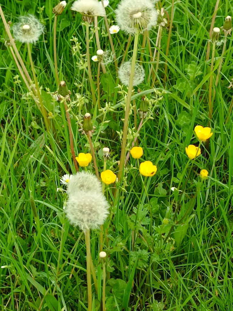 Condolence image of Claudia 
