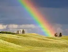 Condolence image of Christiane 