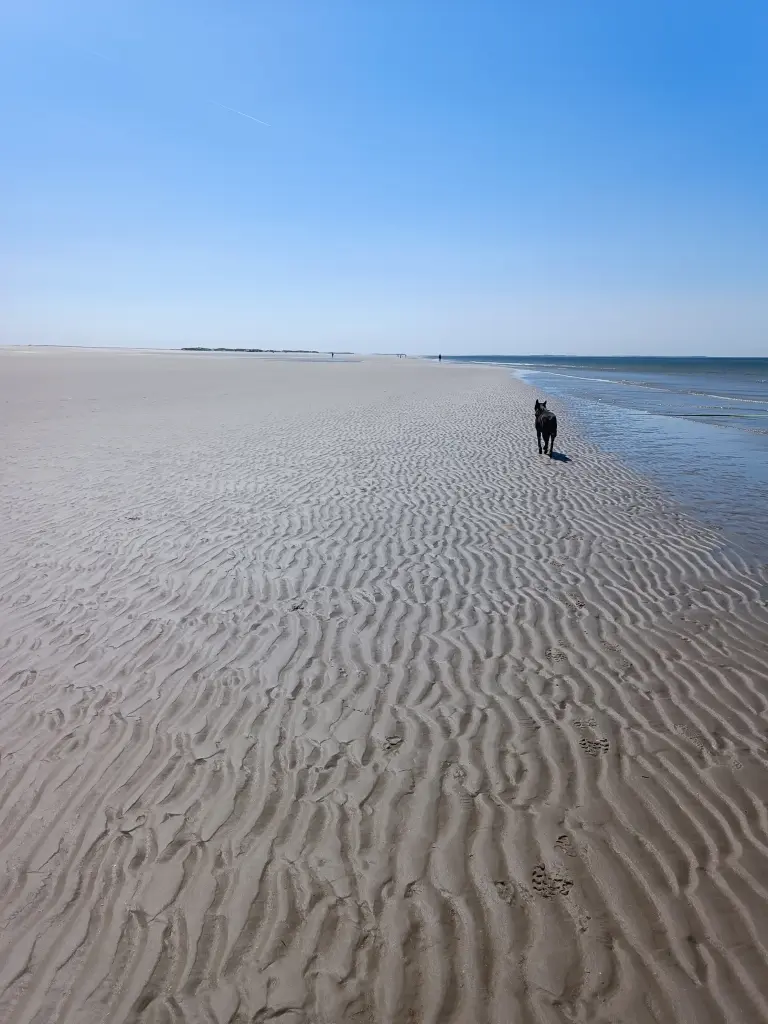 Condolence image of Claudia 