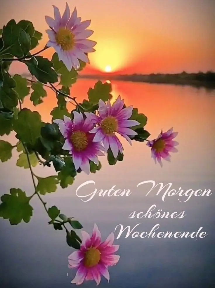 Condolence image of Claudia mit ASKO❤️ 