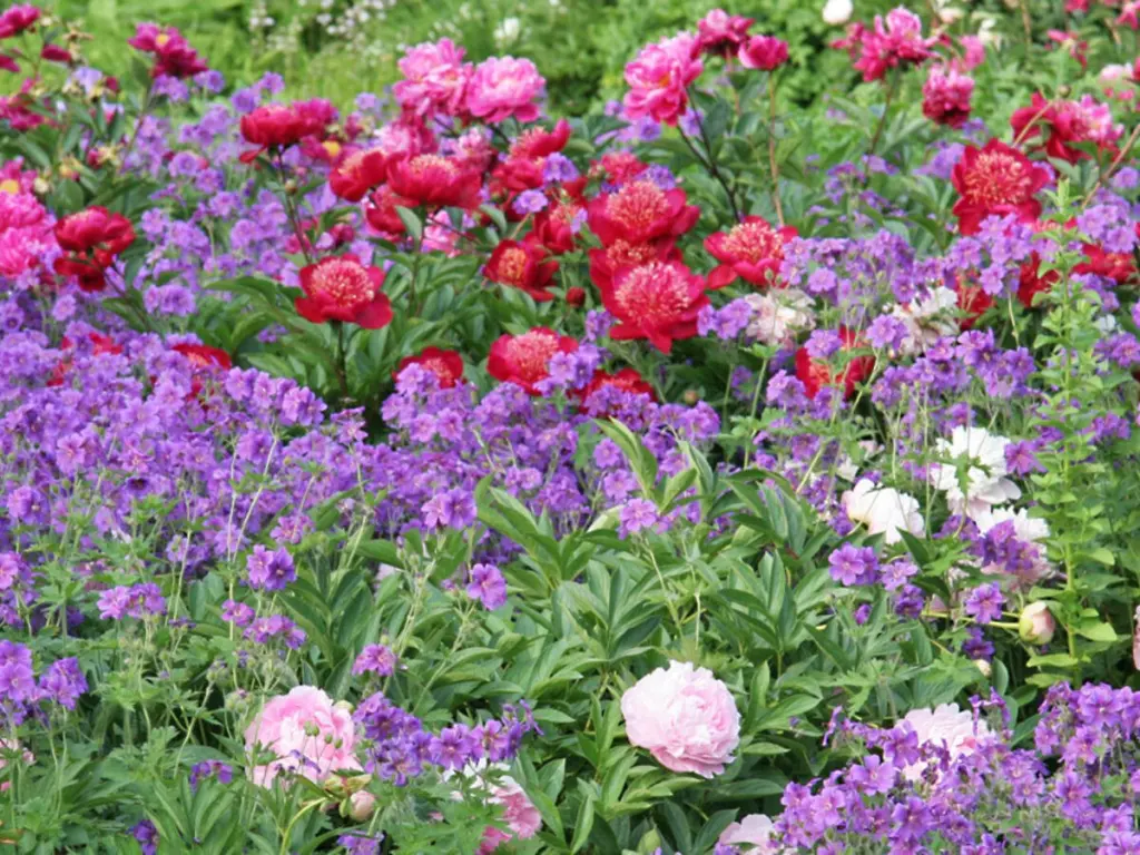 Condolence image of ♥️